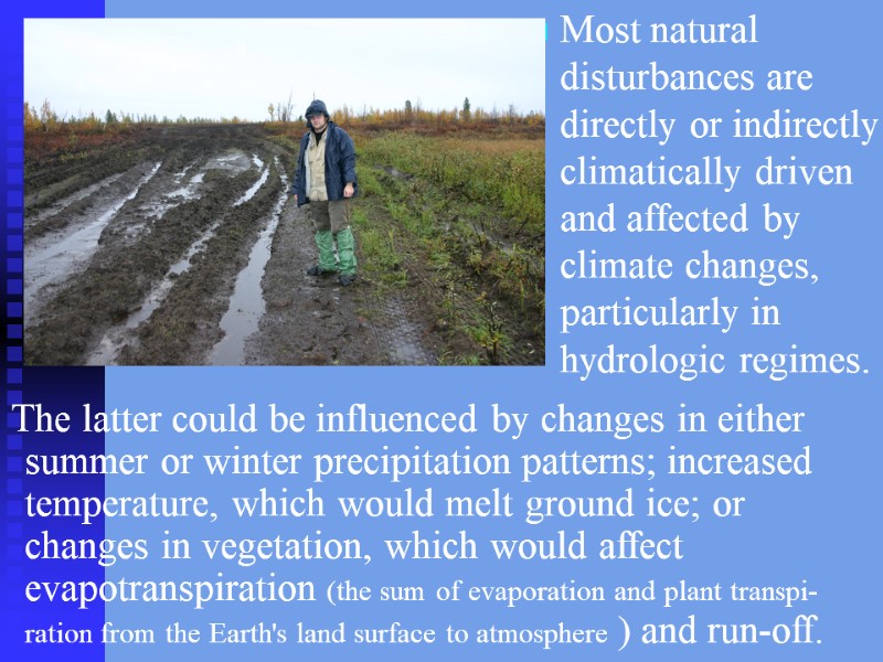 Most natural disturbances are directly or indirectly climatically driven and affected by climate changes,